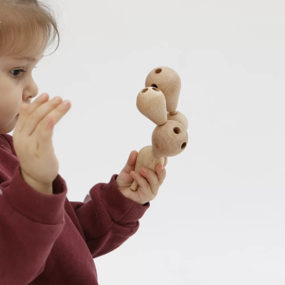 Kaktus Igra Ravnoteže - Слика 4