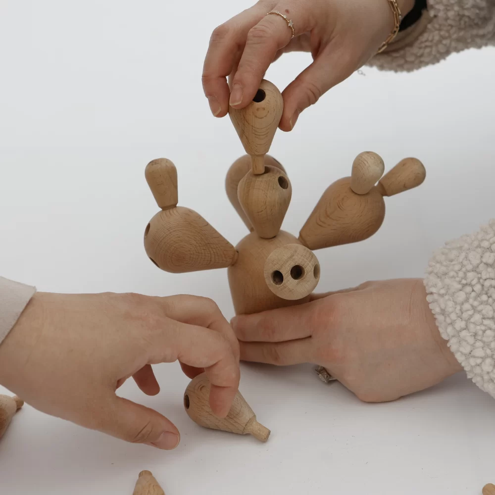 Kaktus Igra Ravnoteže - Слика 3