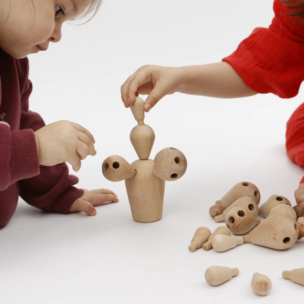 Kaktus Igra Ravnoteže - Слика 2